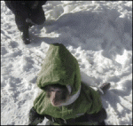 Snowsuit-monkey-eats-snow