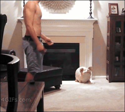 While in the middle of a dance a cat jumps and bounces off a guy's butt