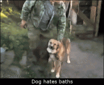 Dog-bath-shuts-door