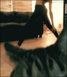Cat-videobombs-yoga
