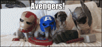 Avengers-pugs-Ultron