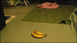 Cat-goes-bananas