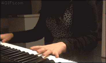 Cat-interrupts-piano