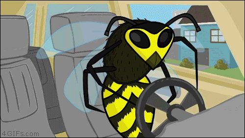 Opposite-day-wasp-driving