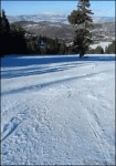 Skiing-past-cougar