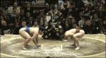 Sumo-wrestling-dodge