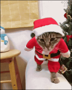 Santa-cat-costume