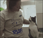 Cat-massages-back