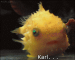 Karl-youre-a-fish-reaction