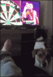 Dog-fetches-TV-darts