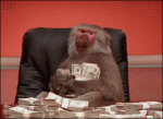 Office-baboon-money-stacks