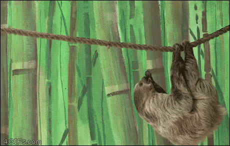 Monkey-sloth-yoink