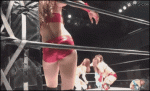 Female-wrestling-in-Japan
