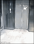 Drunk-elevator-kick-karma