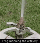 Sprinkler-frog-manning-the-artillery