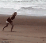 Beach-gymnastics-dog-fail