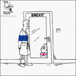 Cat-door-brexit