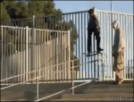 Skateboarder-railing-lamppost