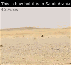 Saudi-arabia-lizard-shade.gif?