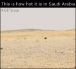 Saudi-arabia-lizard-shade