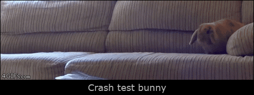 Bunny-couch-collision