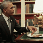 Thanks-Obama-cookie