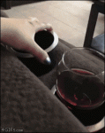 Cat-spills-wine-glass