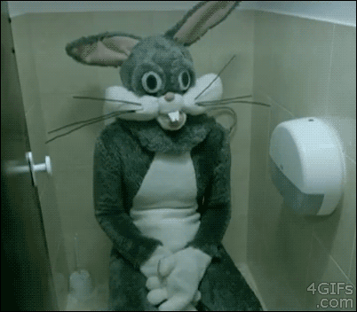 Creepy-bathroom-rabbit.gif?