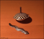 Magnetic-top-and-snake