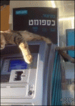 Cat-guards-ATM