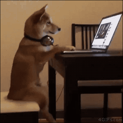 Doge-watches-Youtube