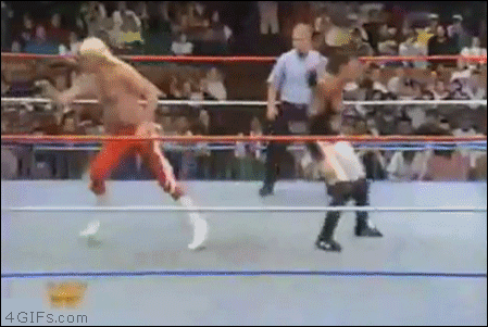 http://forgifs.com/gallery/d/288296-2/Wrestling-buttkicked.gif