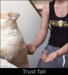 Hesitant-dog-trust-falls