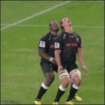 Rugby-beast-catch