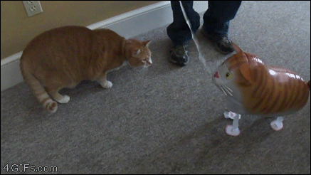 Cat-attacks-ballooncat