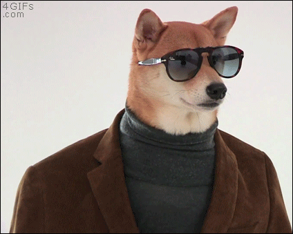 Dog-fashion-model