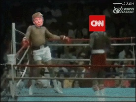 Donald-Trump-CNN-punching-dodges