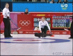 Olympic-cat-curling