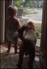 Baby-and-dog-happy-dance