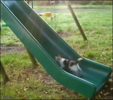 Cat-slide-treadmill