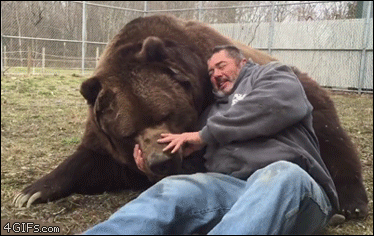 Bear-hugs-cuddles-man