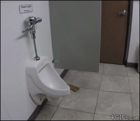 Dog-flushes-urinal