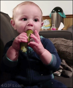 Baby-tries-pickle