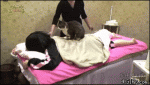 Cat-masseuse