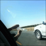 Condom-car-window