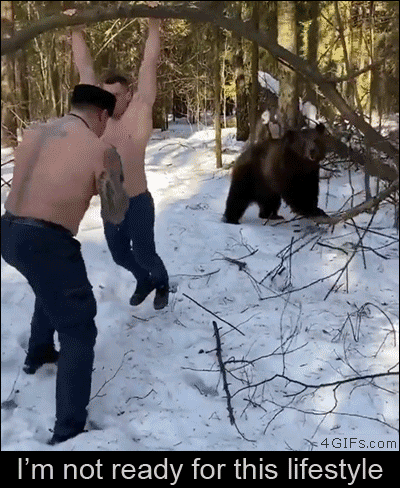 Punched-while-bear-pushes-tree