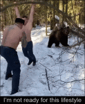 Punched-while-bear-pushes-tree