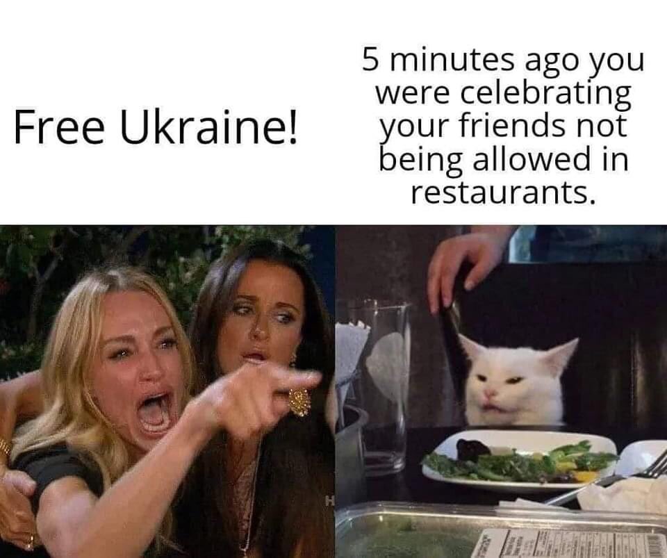 Ukraine-table-cat