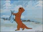 Groovy-otter-dancing