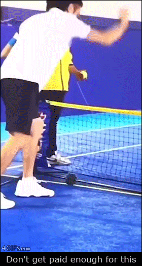 Chimp-tennis-towel